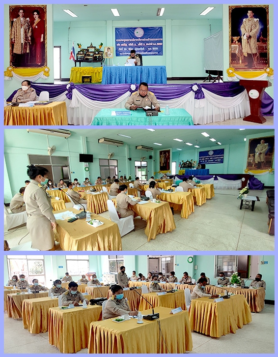 ประชุมสภา