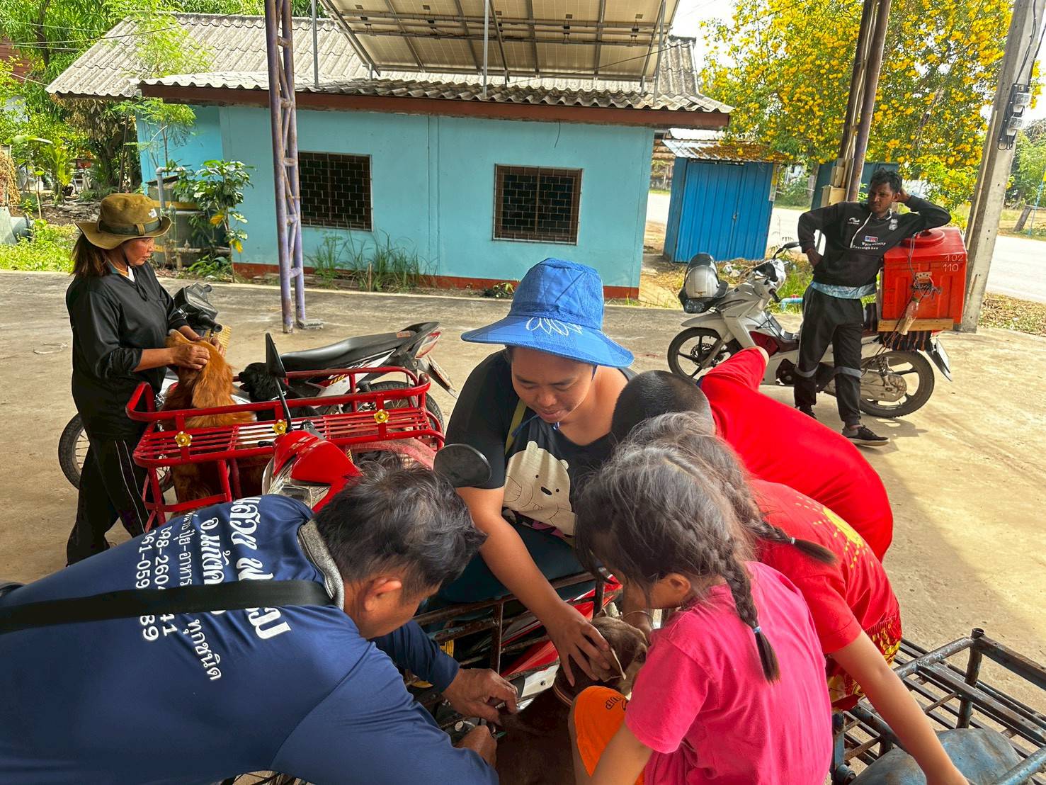 ฉีดวัคซีนป้องกันโรคพิษสุนัขบ้า